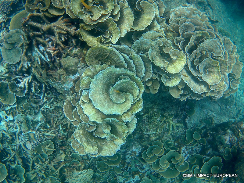 Tioman 0048