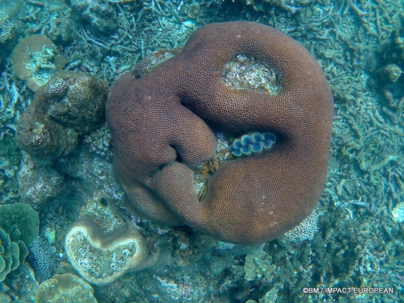 Tioman 0049