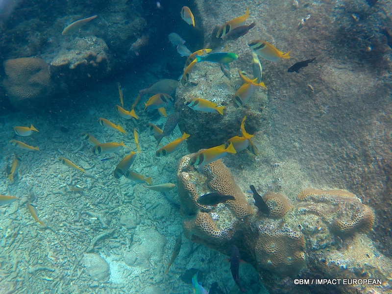 Tioman 0051