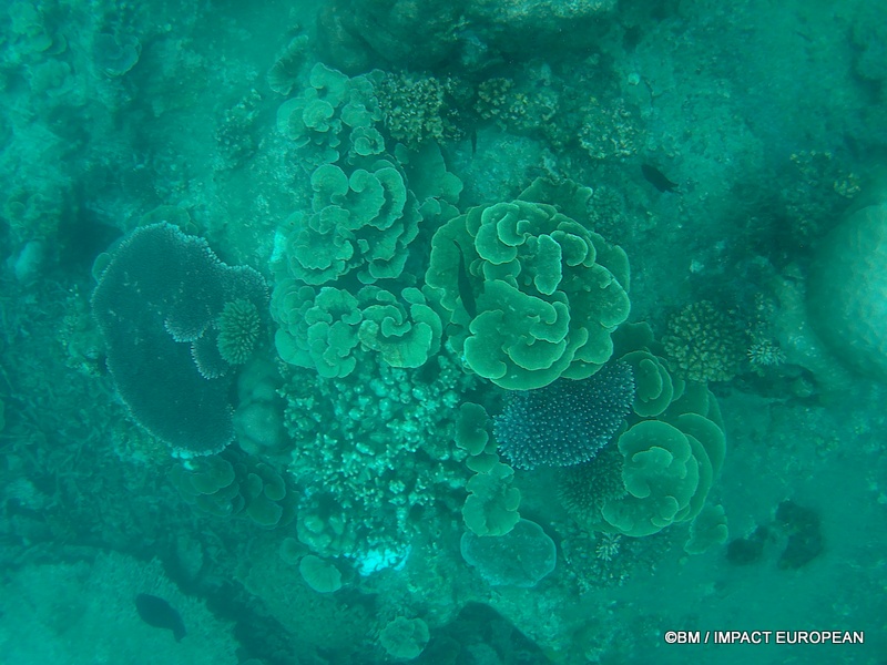 Tioman 0054