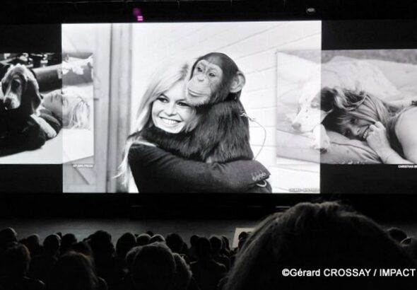 Brigitte Bardot Visa pour l’Image 2026