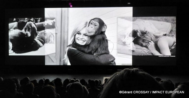 Brigitte Bardot Visa pour l’Image 2026