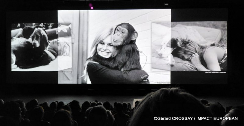 Brigitte Bardot Visa pour l’Image 2026