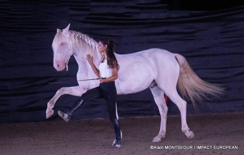 Spectacle Equinoche : à l'écurie de Pachka à Castelmayran
