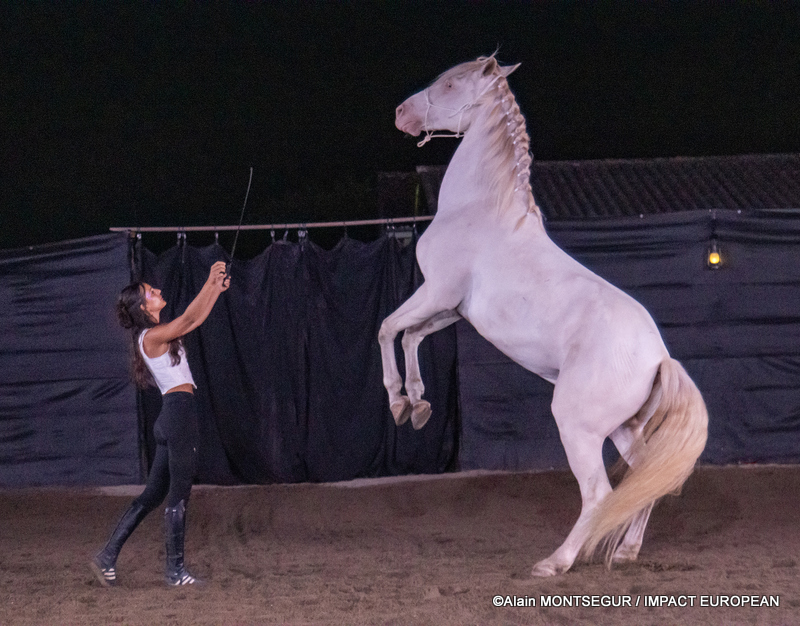 Spectacle Equinoche : à l'écurie de Pachka à Castelmayran