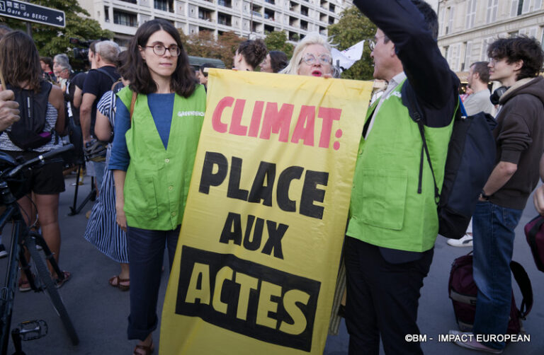 Rassemblement urgence climatique 006