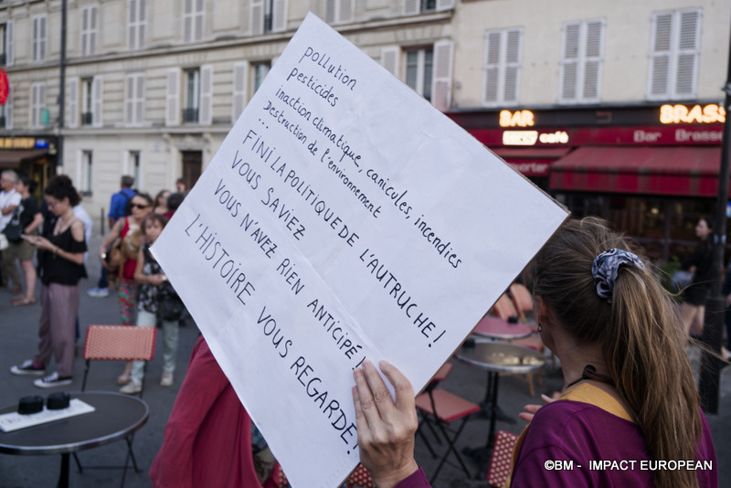 Rassemblement urgence climatique 019
