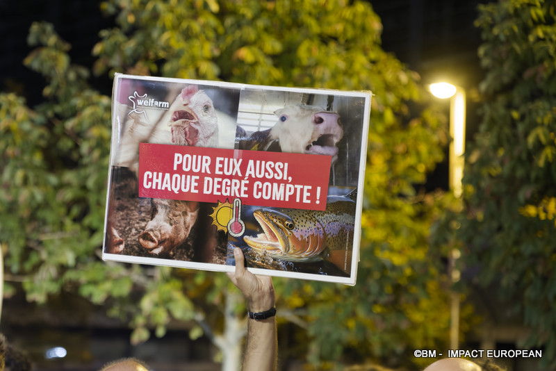 Rassemblement urgence climatique 035