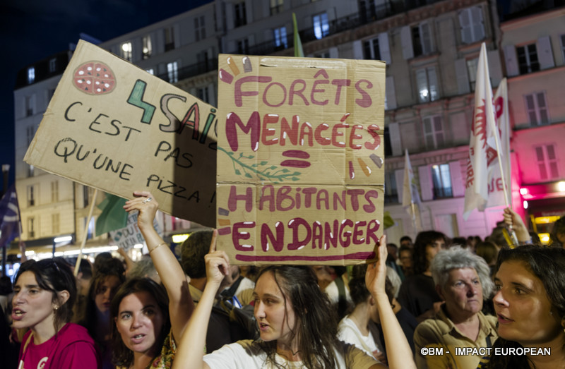 Rassemblement urgence climatique 037
